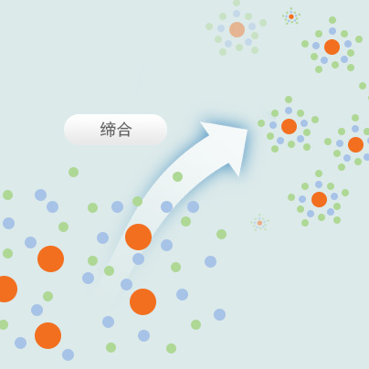 新葡萄8883AMG